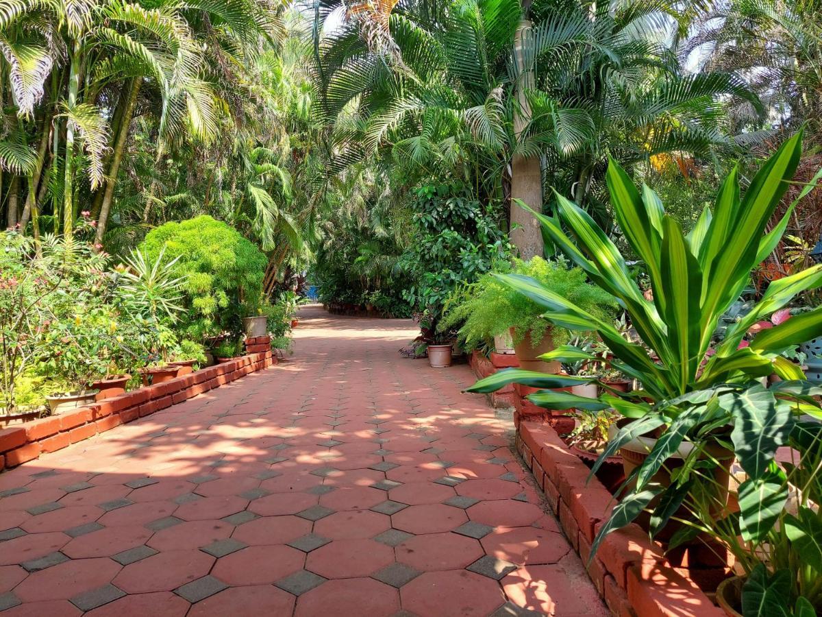 Palm Grove Cottages - Leisure Resort Benaulim Εξωτερικό φωτογραφία