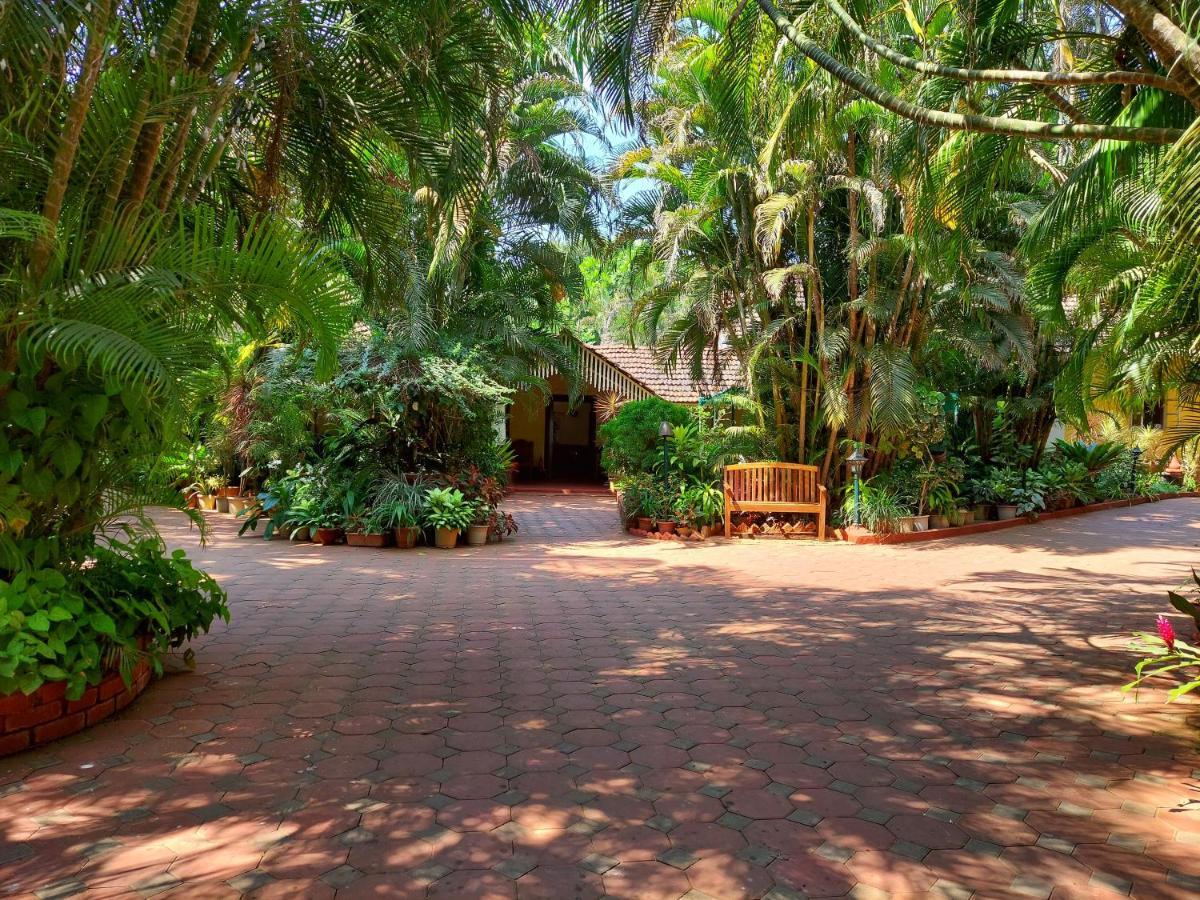 Palm Grove Cottages - Leisure Resort Benaulim Εξωτερικό φωτογραφία