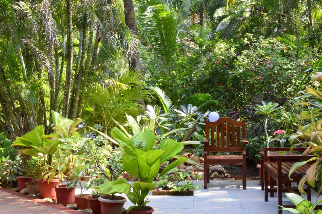 Palm Grove Cottages - Leisure Resort Benaulim Εξωτερικό φωτογραφία