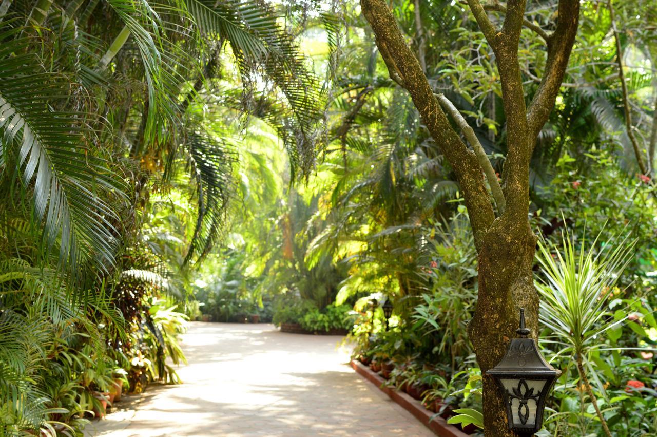 Palm Grove Cottages - Leisure Resort Benaulim Εξωτερικό φωτογραφία